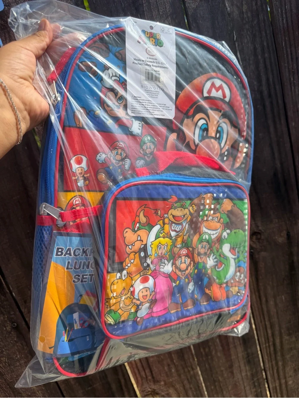 Boys Backpack Mario Bros Back to school